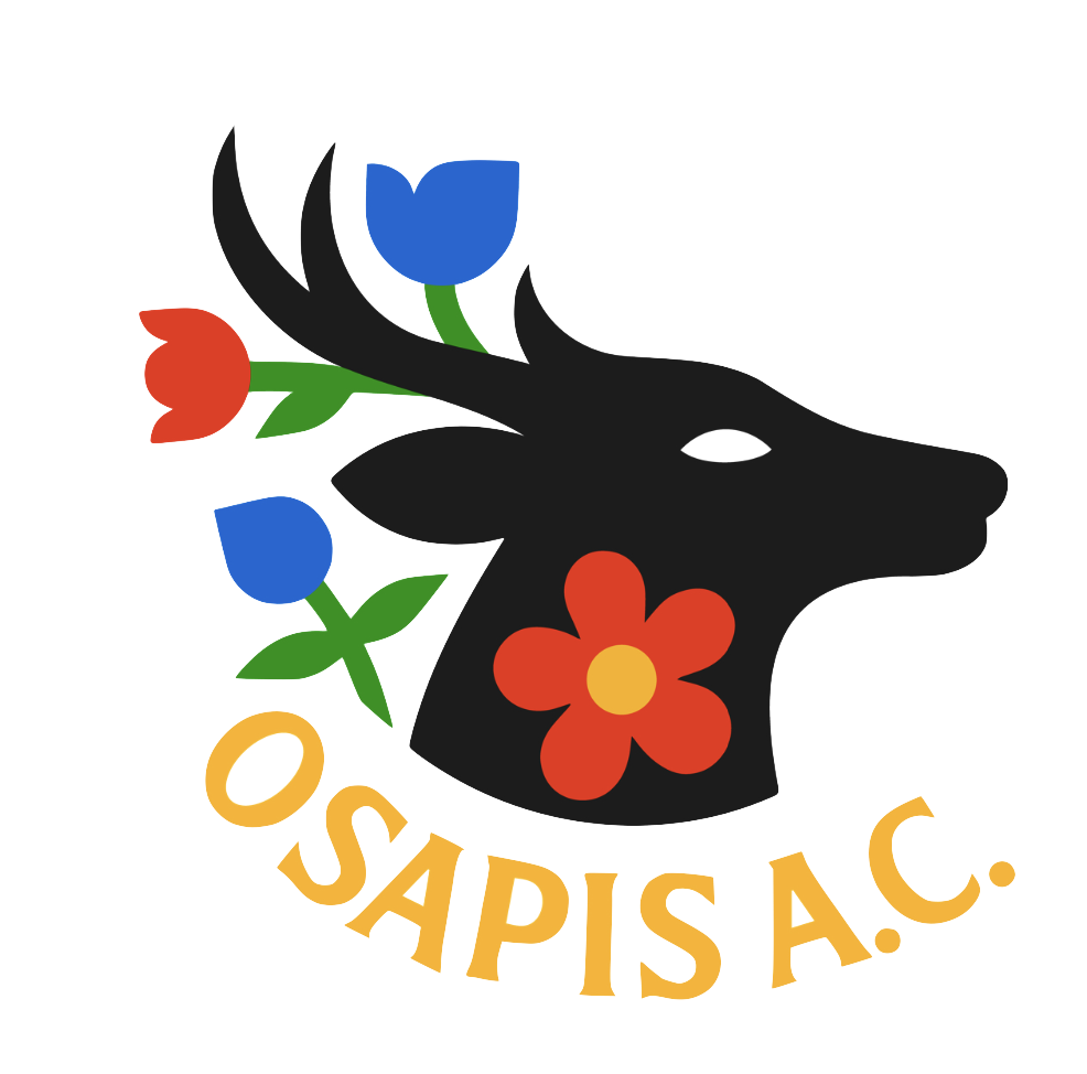 OSAPIS Logo